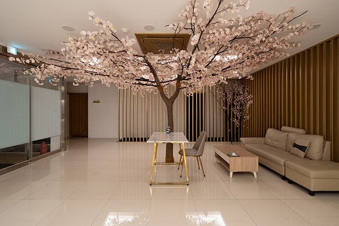 비비타이밸런스 2