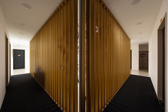 비비타이밸런스 3