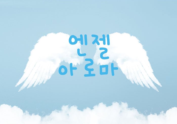 엔젤아로마 - 전북특별자치도 스웨디시