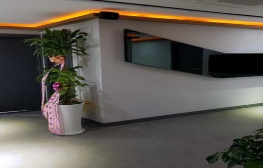 더무드스웨디시 3