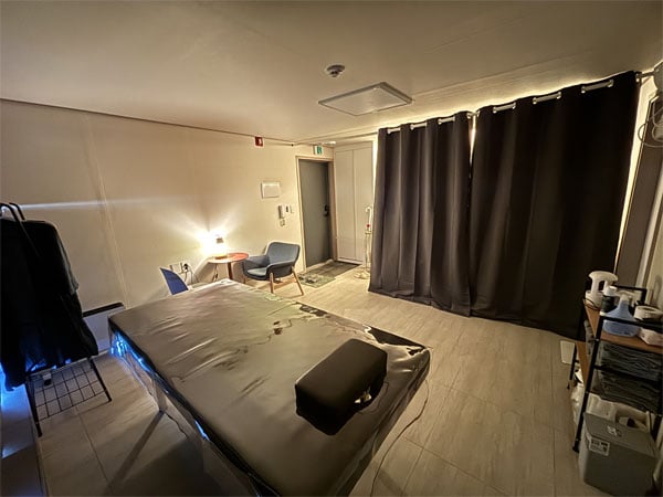 플론트스웨디시 2