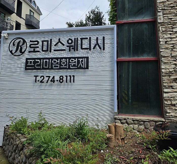 로미스웨디시 5