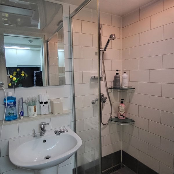 도도스웨디시 2