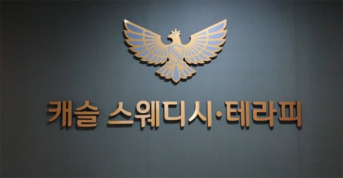 캐슬테라피 - 대구광역시 스웨디시