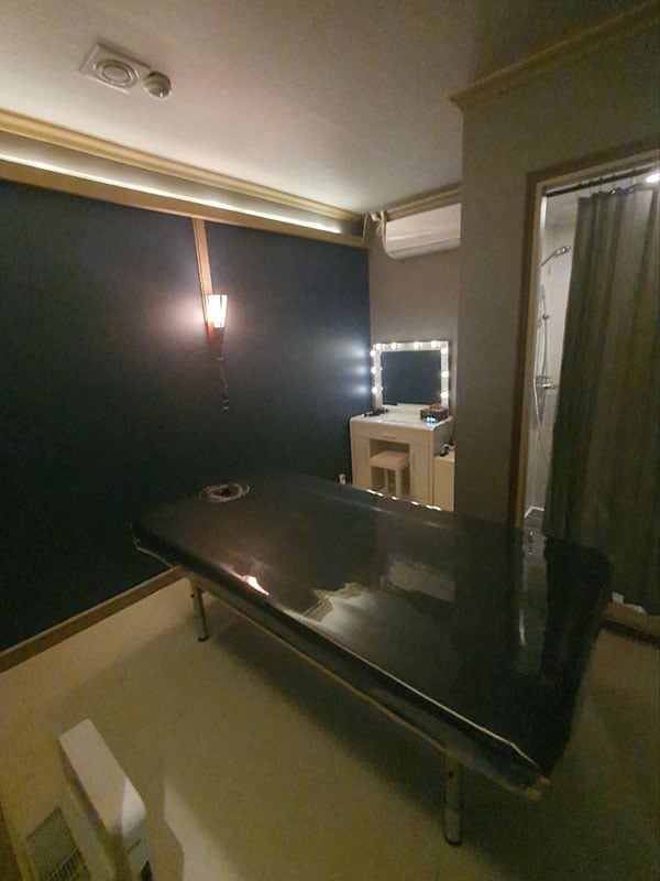 하루스웨디시 5