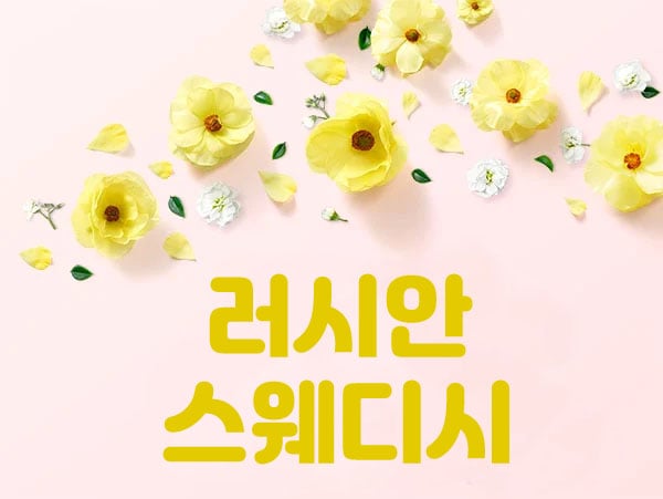러시안스웨디시 - 서울특별시 스웨디시