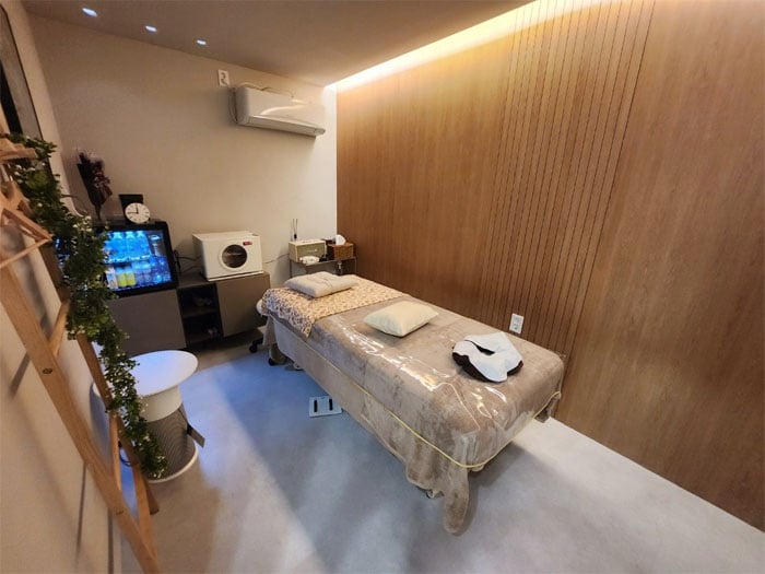 아만스웨디시 4