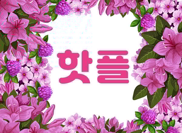 핫플 - 제주특별자치도 스웨디시
