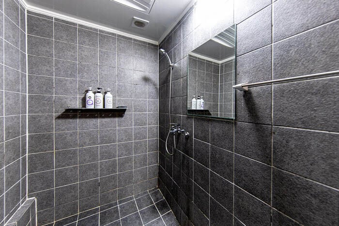 소울스웨디시 4