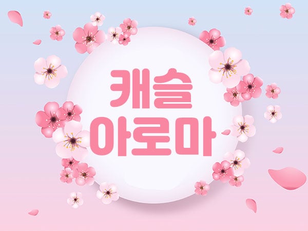 캐슬아로마 - 전북특별자치도 스웨디시