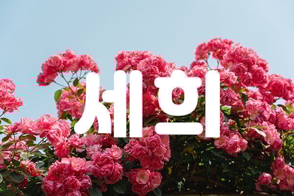 세희 - 대전광역시 스웨디시
