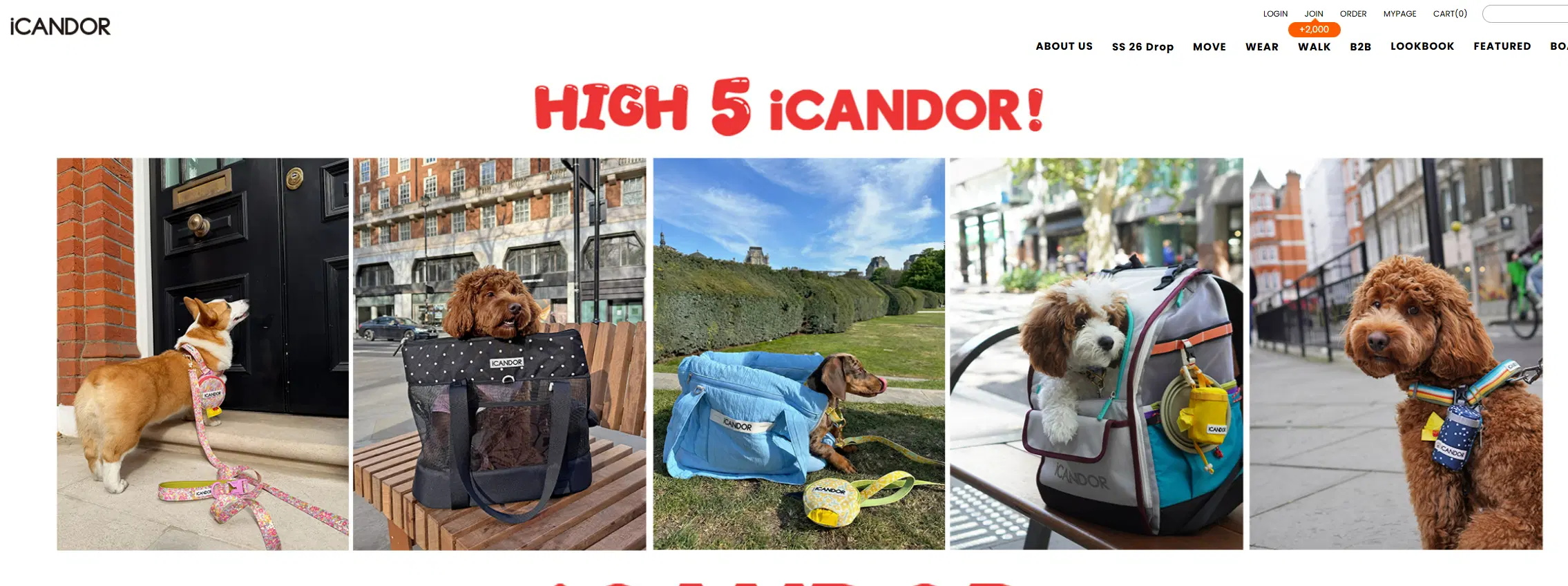 icandor-korean-pet-supplies.png