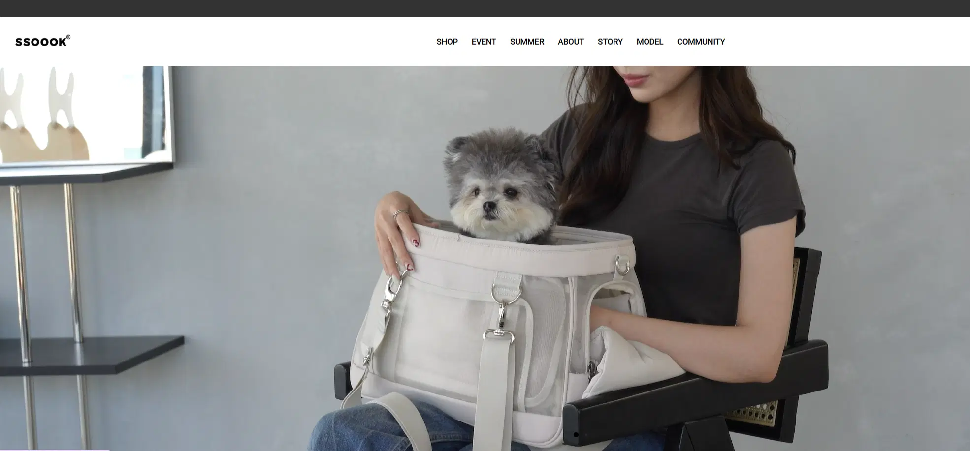 soook-korean-pet-supplies.png
