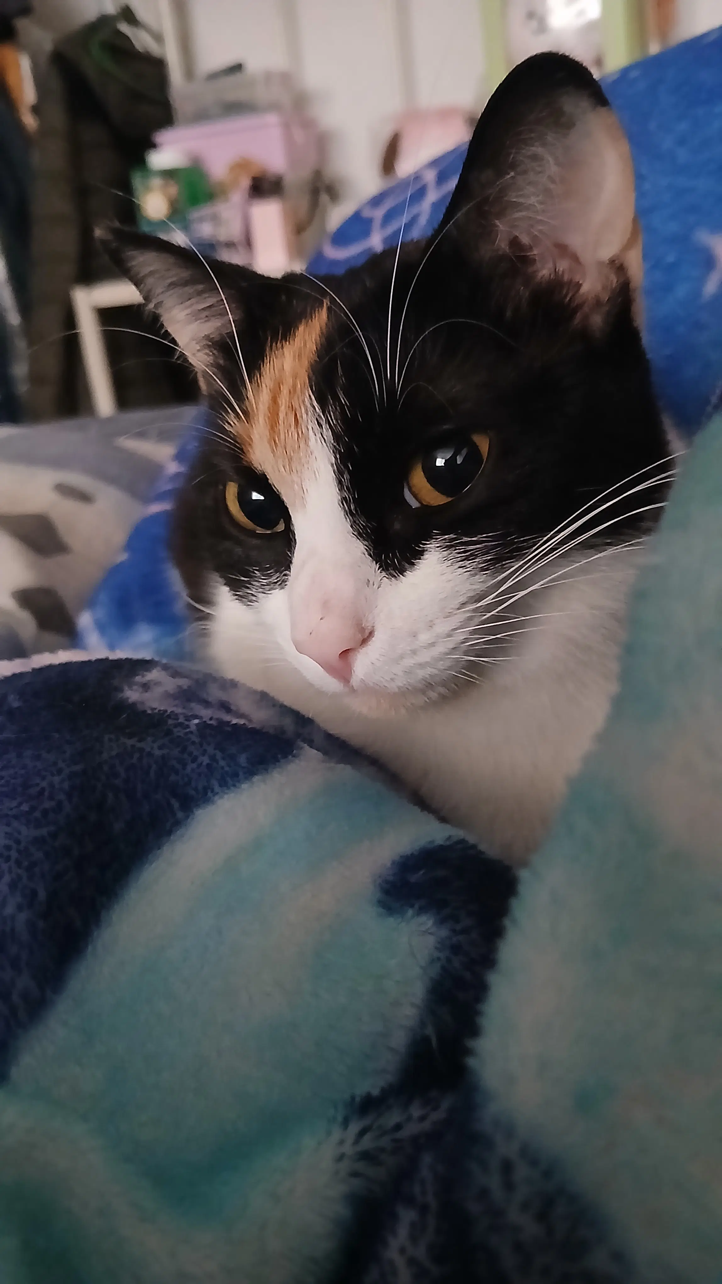 Ana