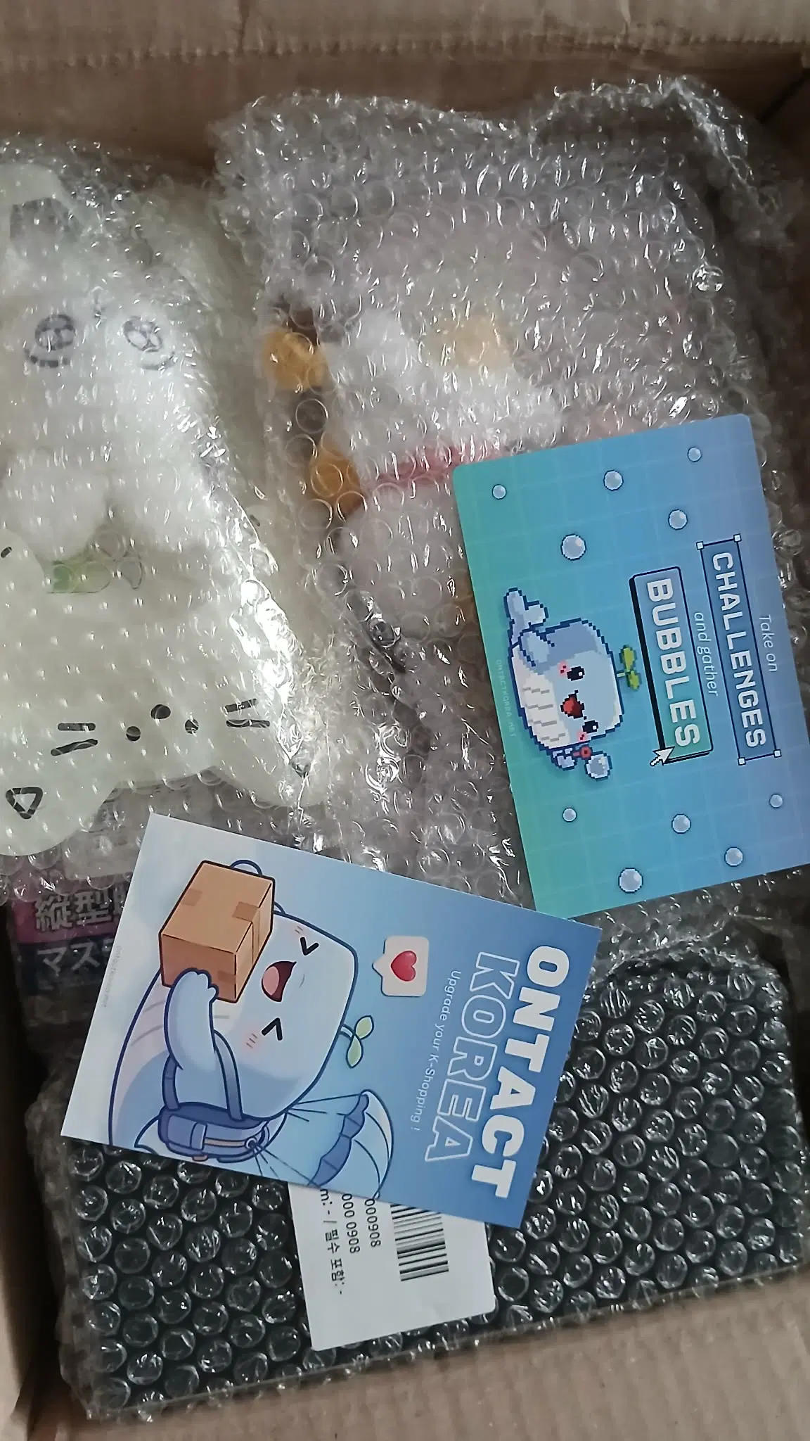 Primera experiencia Ontact Korea! review image 1