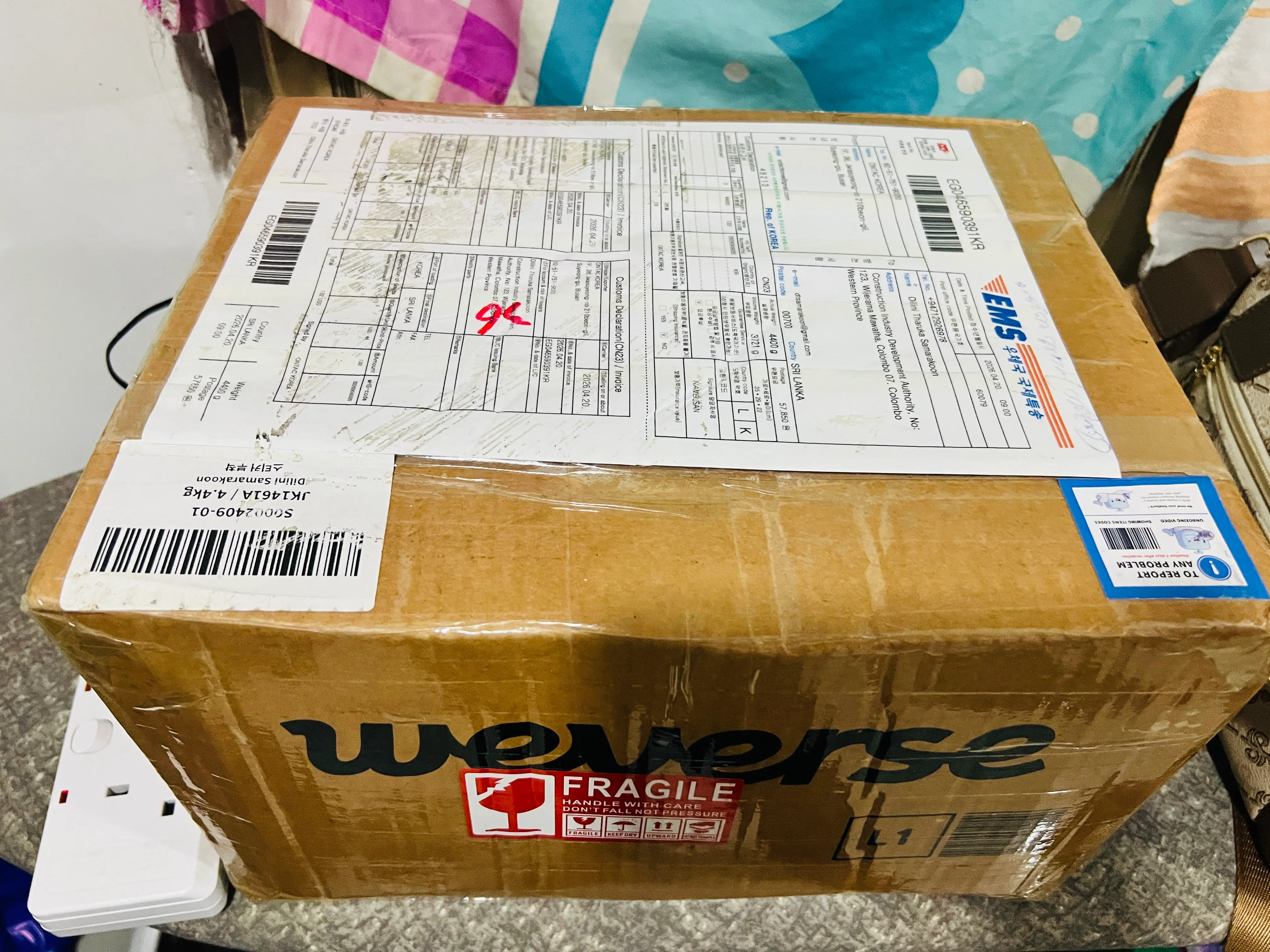 My babies came home safely again…. 🥹 review image 2
