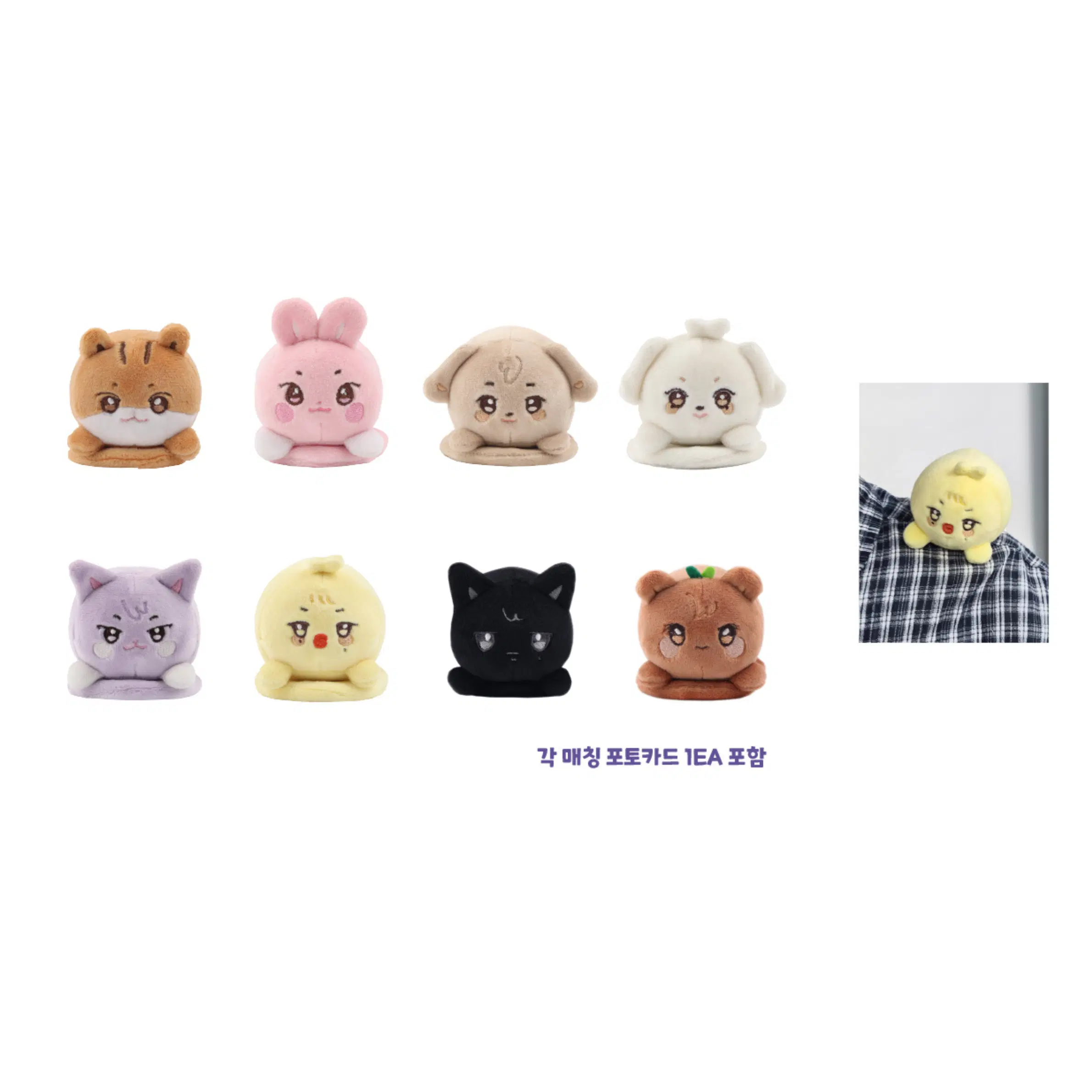 ANITEEZ IN COLOR - MAGNETIC SHOULDER STRESS BALL