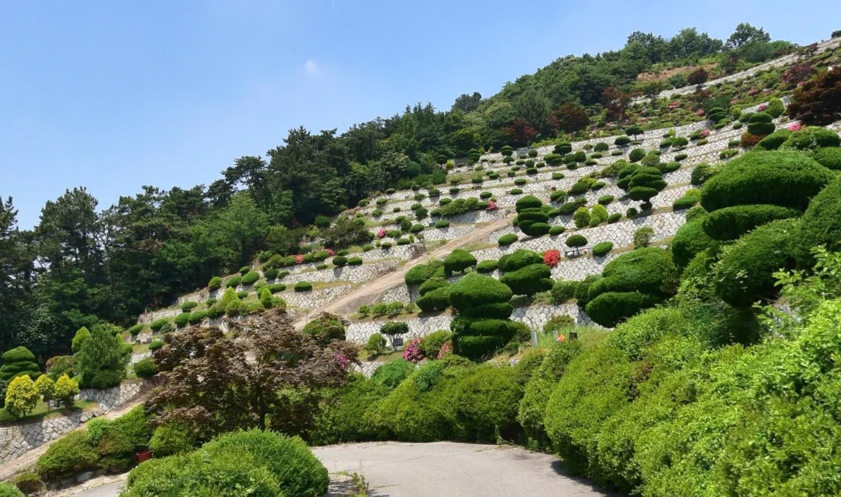 (재)봉황공원묘지 정보, 위치, 시설 현황 (묘지) | 삼고상조