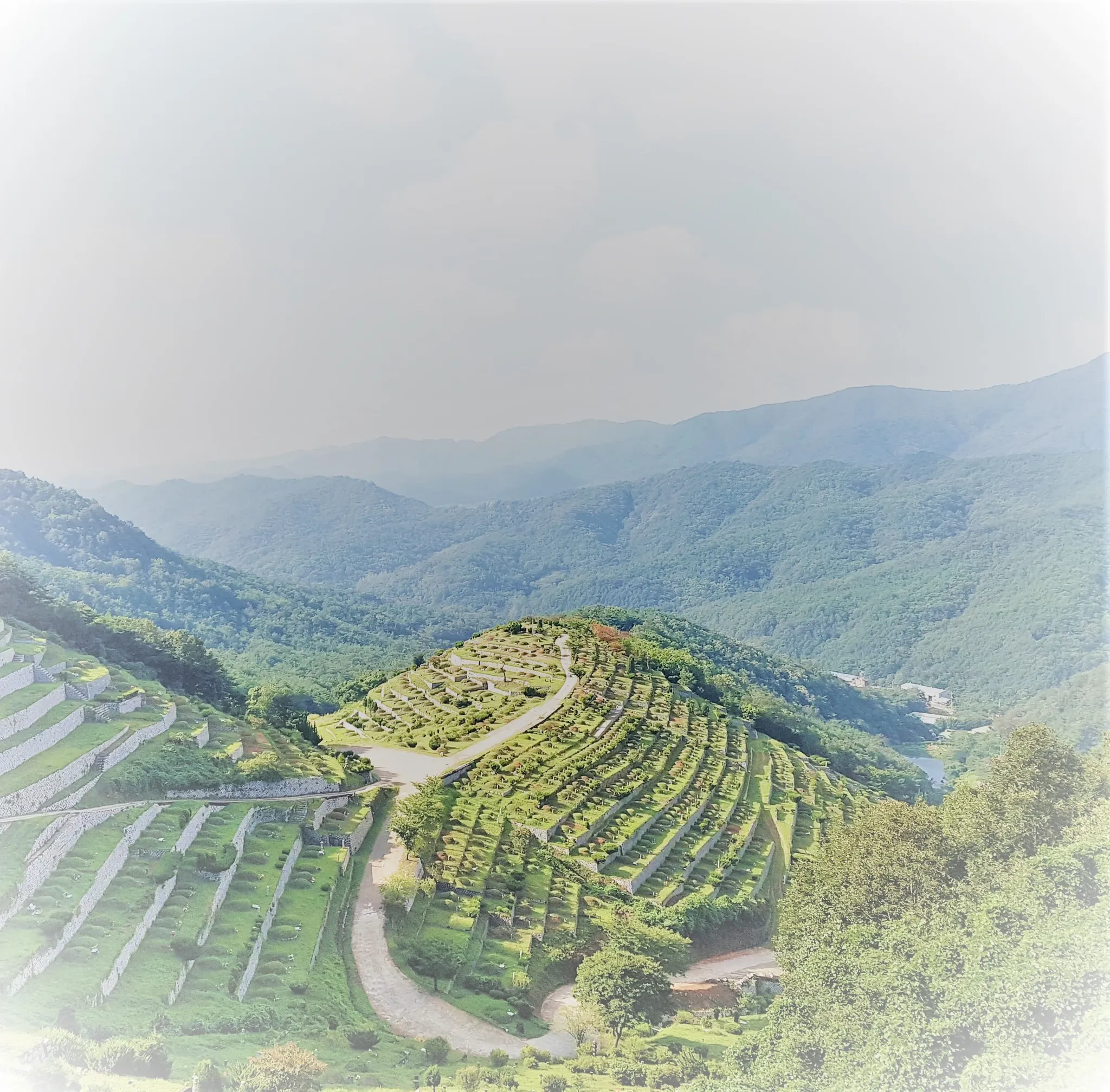(재)학명묘원 정보, 위치, 시설 현황 (묘지) | 삼고상조