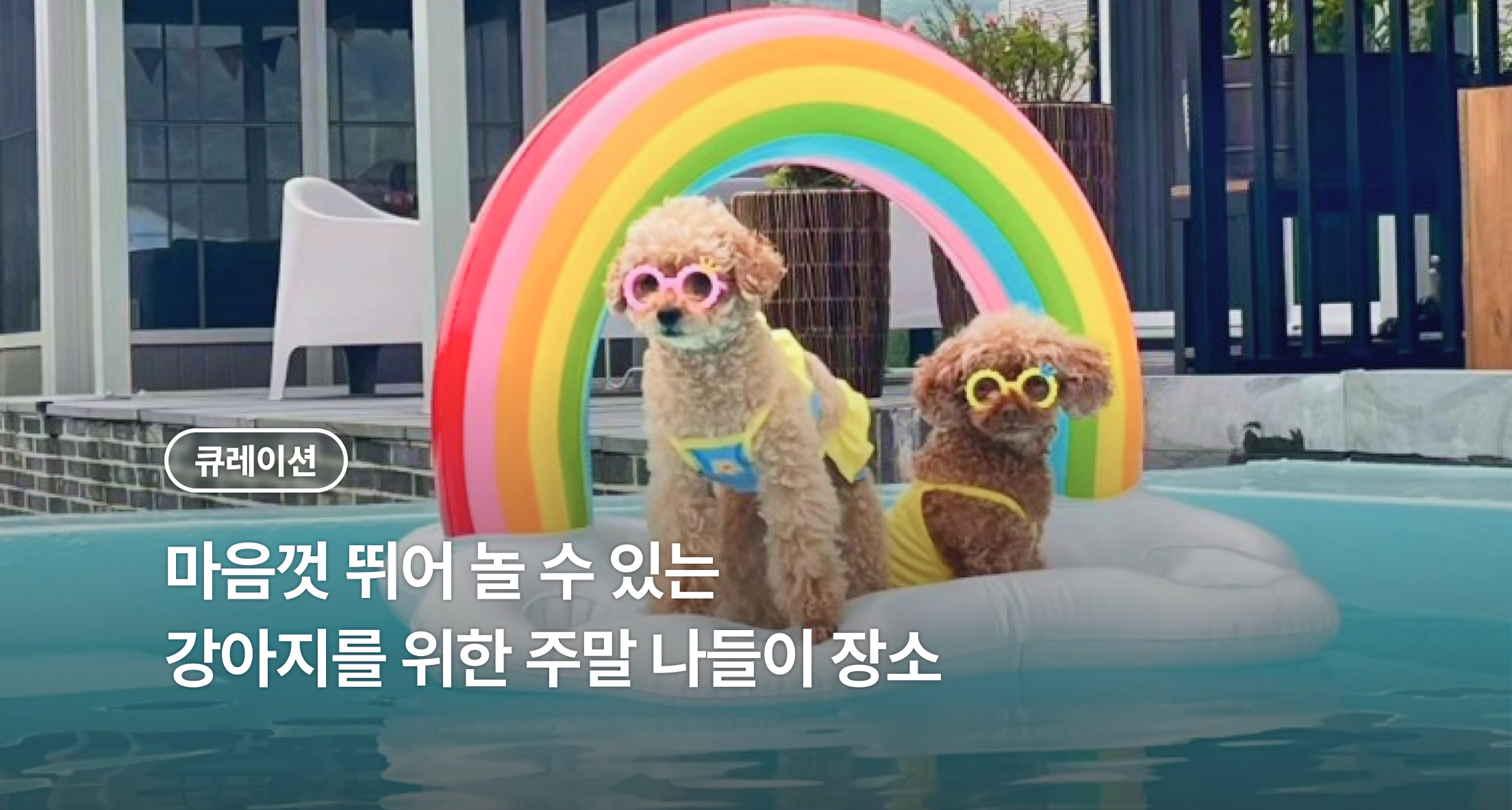 banner_img