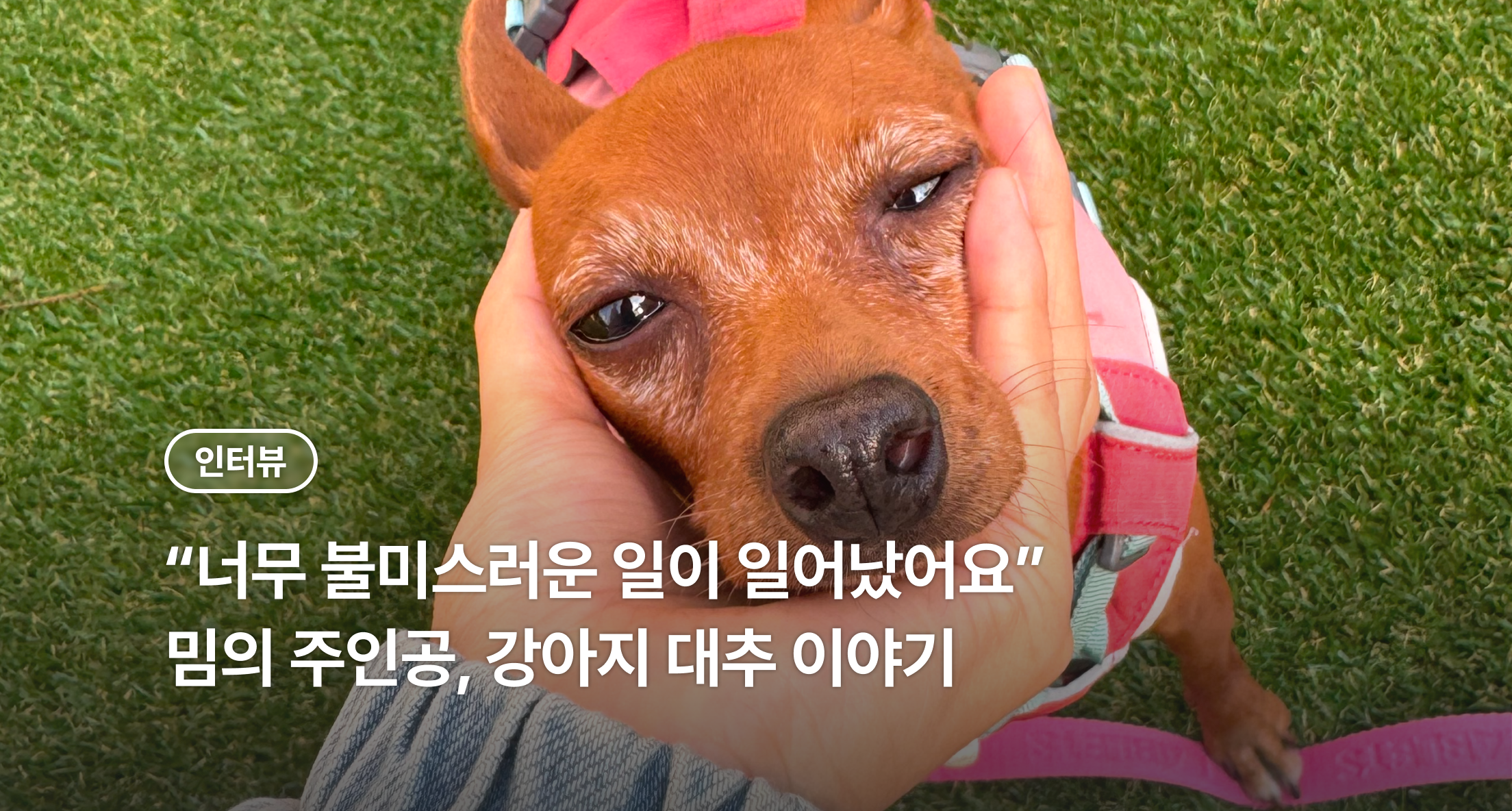 banner_img