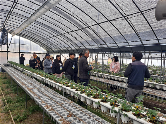 투어 팜(TOUR FARM) 이미지