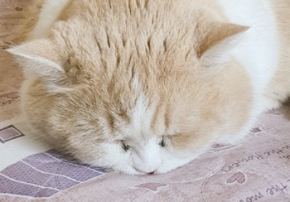 qwe