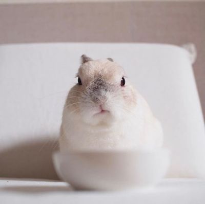 담쌀롱