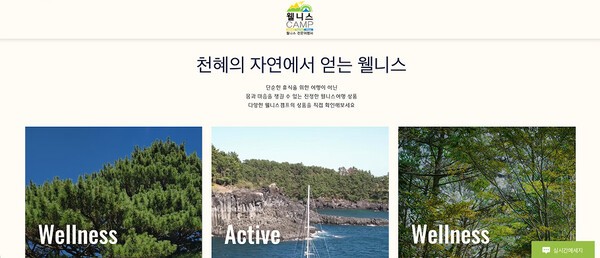 웰니스캠프 주요 웰니스 투어 종류 | 웰니스캠프 홈페이지
