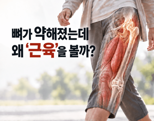 기사 이해를 돕기 위한 AI 생성 이미지