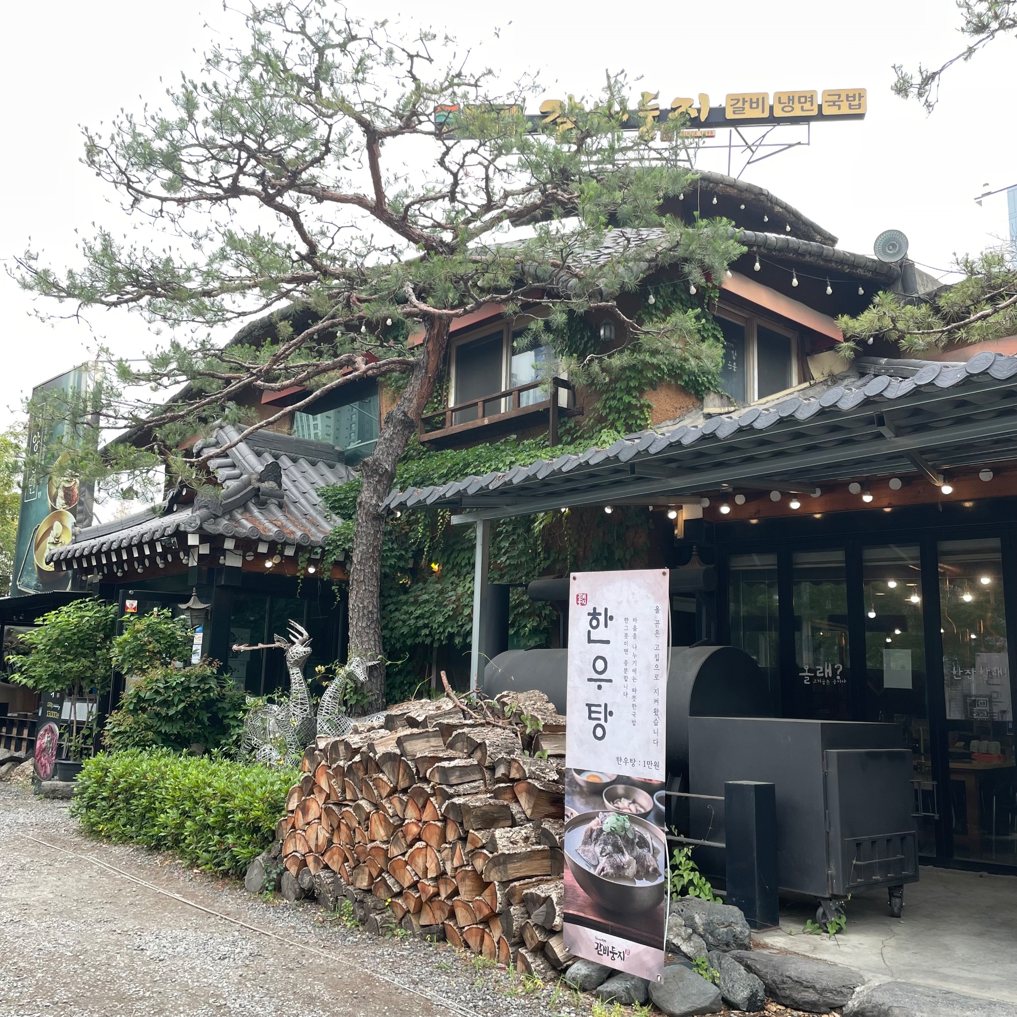 갈비둥지 사진 5