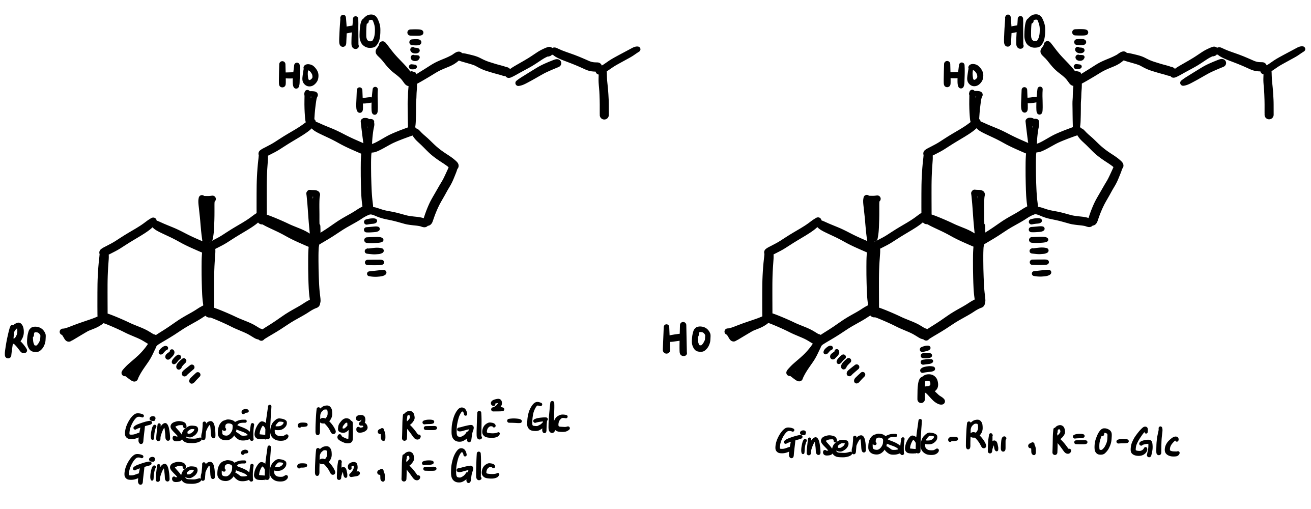 image (3)