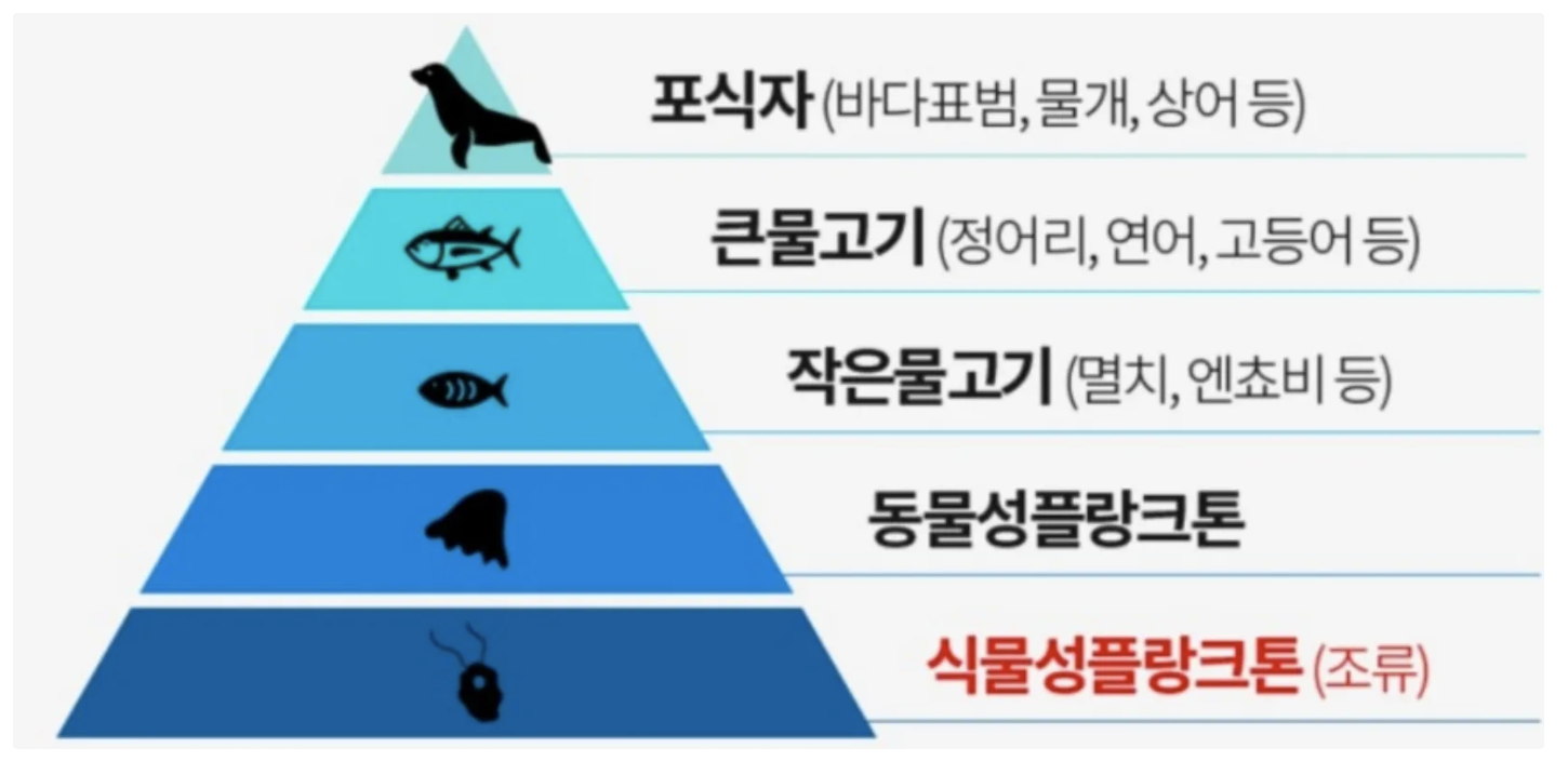 스크린샷 2025-05-28 오후 7
