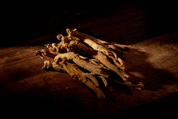image (1)