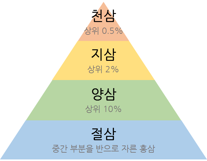 image (12)