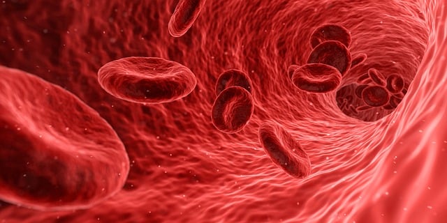 image (2)