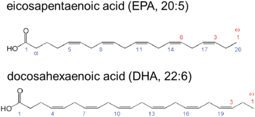 Chemical-structures-of-EPA-and-DHA (1)
